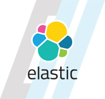 Elastic Logo